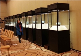 工藝品展柜 工藝品展柜